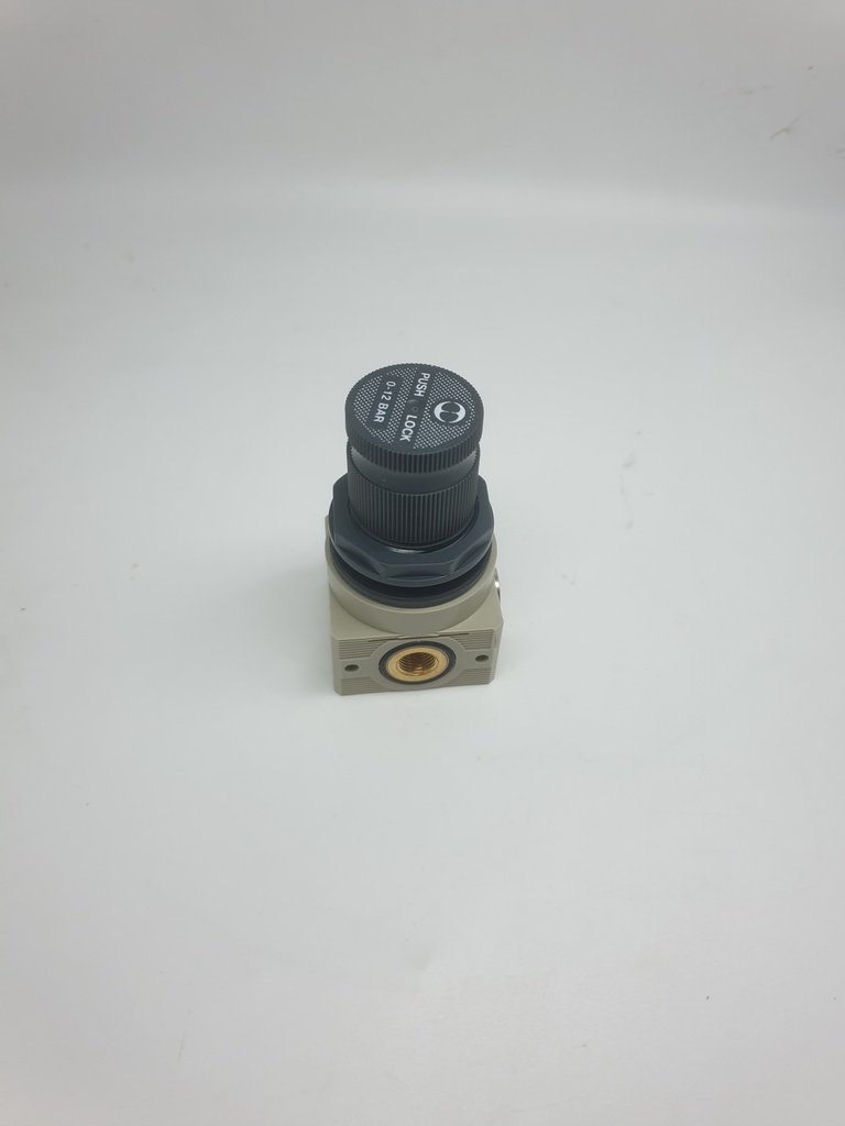 5107004 Metal Work Miniature Pressure Regulator